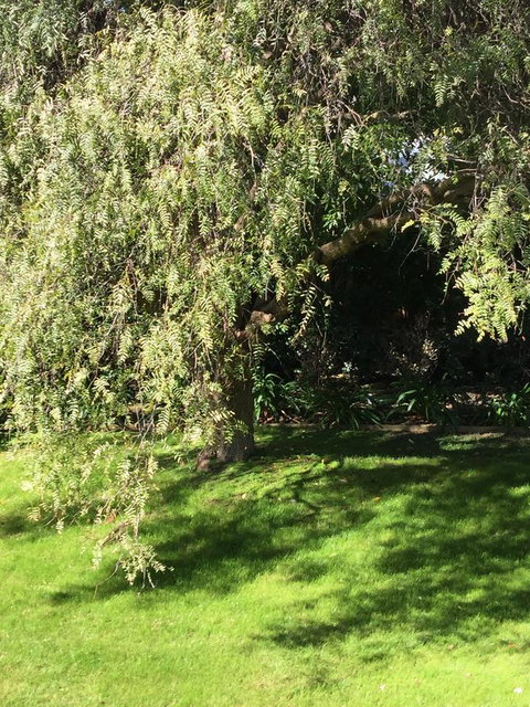 Moonah Woodlands Resort - Accommodation VIC 37