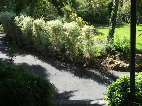 Moonah Woodlands Resort - Accommodation VIC 39