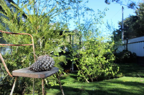 Cottage 4A - Accommodation VIC 13