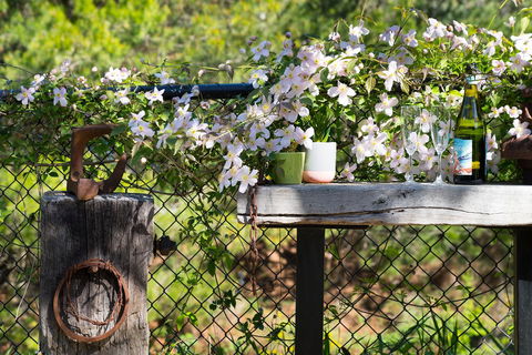 Cottage 4A - Accommodation VIC 4