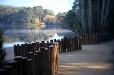 Minni Gums - Accommodation VIC 4