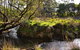 Green Gully House - thumb 5