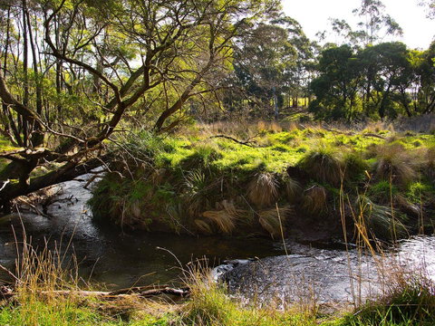 Green Gully House - Accommodation VIC 5