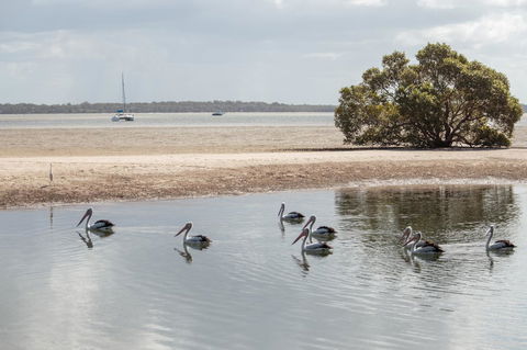 BIG4 Breeze Holiday Parks - Rainbow Beach - Accommodation VIC 32