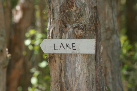 Lake Weyba Noosa Lodge & Kangaroos - Accommodation VIC 36