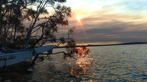Lake Weyba Noosa Lodge & Kangaroos - Accommodation VIC 40