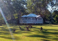 Book Peregian Beach Accommodation Vacations Accommodation VIC Accommodation VIC
