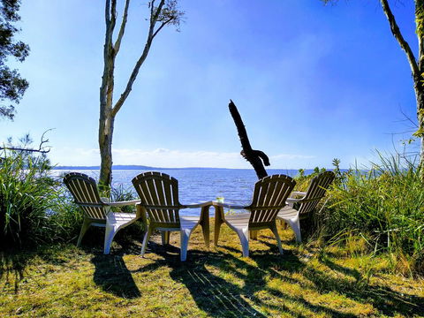 Lake Weyba Noosa Lodge & Kangaroos - Accommodation VIC 44