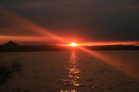Lake Weyba Noosa Lodge & Kangaroos - Accommodation VIC 41