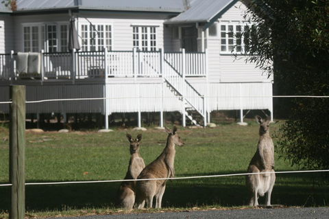Lake Weyba Noosa Lodge & Kangaroos - Accommodation VIC 28