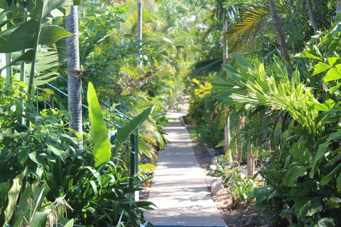 Amaroo On Mandalay, Magnetic Island - Accommodation VIC 23