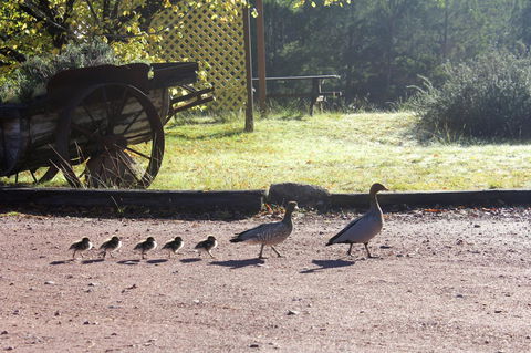 Granite Belt Retreat And Brewery - Accommodation VIC 22