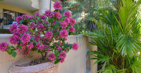 Villa San Michele (Official) - Accommodation VIC 4
