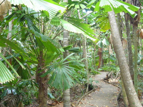 Port Douglas Retreat - Accommodation VIC 18