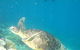 Port Douglas Retreat - thumb 11