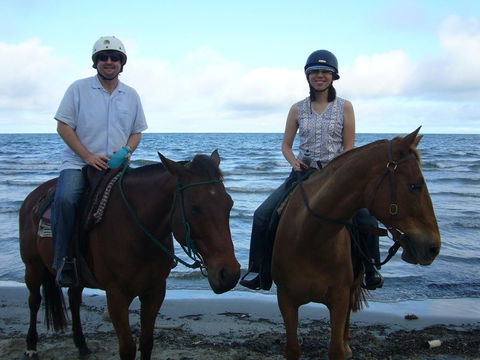 Port Douglas Retreat - Accommodation VIC 20