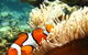 Port Douglas Retreat - thumb 12