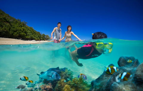 Fitzroy Island Resort - Accommodation VIC 22