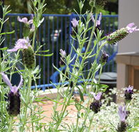 Surfers Beach Resort One - Accommodation VIC