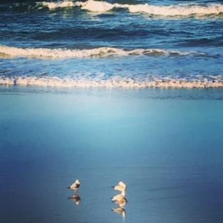 Oceania On Burleigh Beach - Accommodation VIC 40