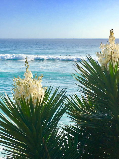 Oceania On Burleigh Beach - Accommodation VIC 21