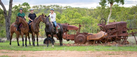 Ironbark House - Accommodation VIC 8