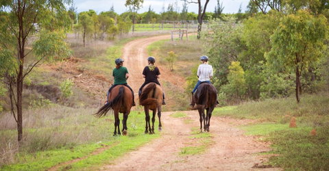 Ironbark House - Accommodation VIC 22
