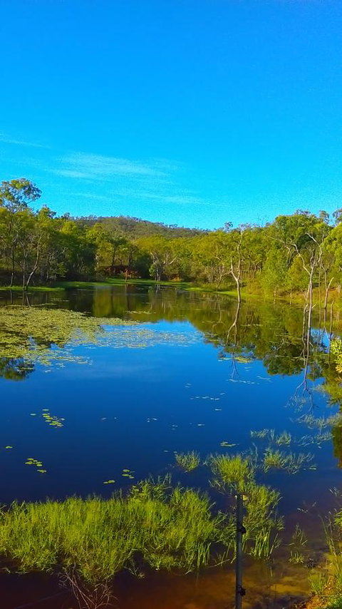 Ironbark House - Accommodation VIC 21