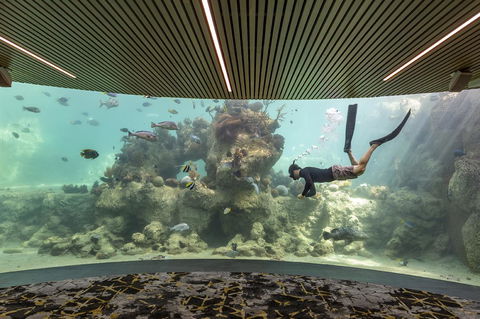 Daydream Island Resort - Accommodation VIC 28