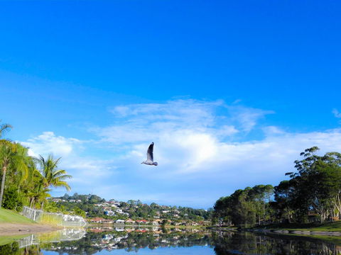 Bay Of Palms - Accommodation VIC 18