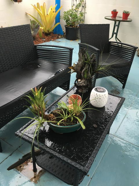 Black Marlin Motel - Accommodation VIC 3