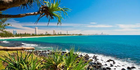 Private Guest Suite High On Currumbin Hill - Accommodation VIC 23