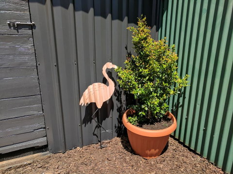 Lilly Pilly House - Accommodation VIC 10