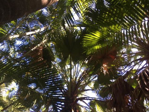 Casuarina - Accommodation VIC 11