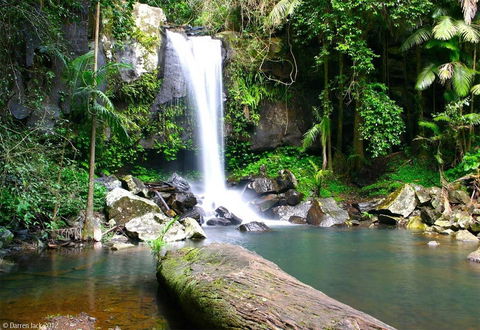 Curtis Falls Cottage - Accommodation VIC 22