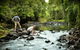 Sharlynn By The River - thumb 25