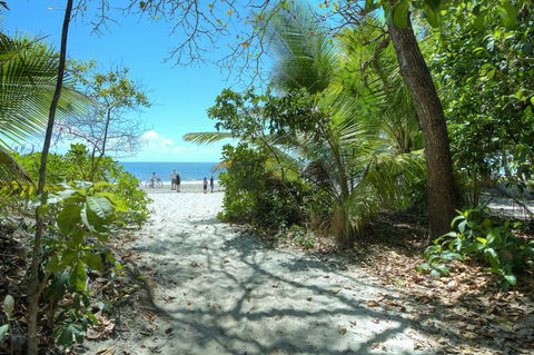 Whispering Palms - Accommodation VIC 1
