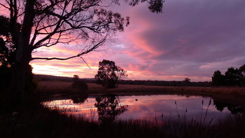 Wind Song Bed & Breakfast - Accommodation VIC 0