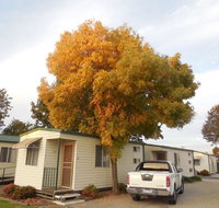 Wodonga Caravan  Cabin Park - Accommodation VIC
