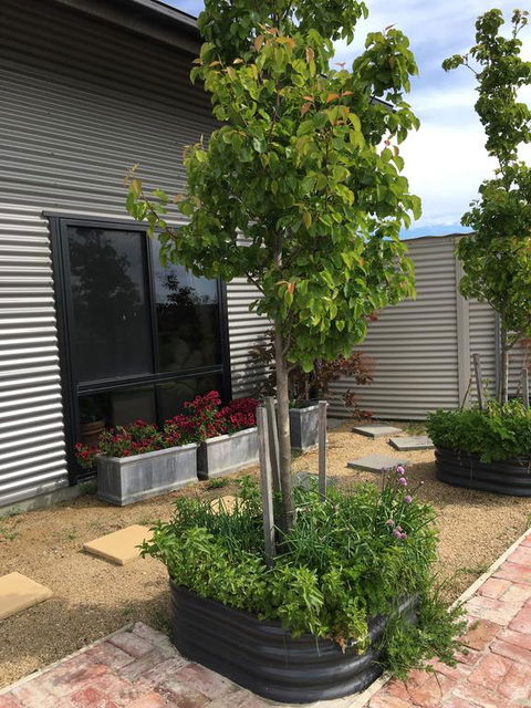Woolamai Dreaming - Accommodation VIC 2