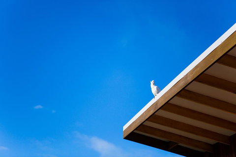 Wye Not Escape - Accommodation VIC 0