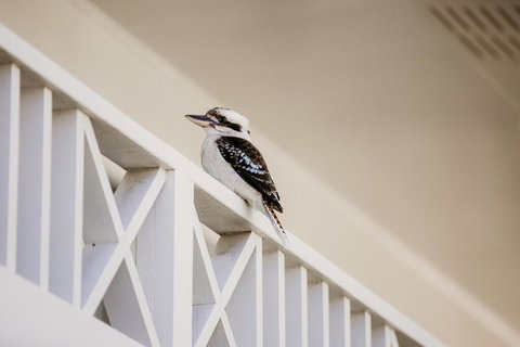 Yeppoon Surfside Motel - Accommodation VIC 2