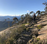 Yours and Theirs Pet Friendly Accommodation - Accommodation VIC