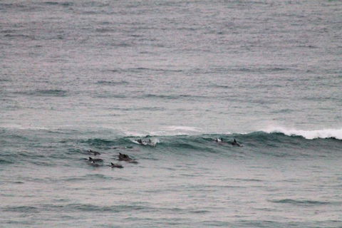 Apartment On King Street - Accommodation VIC 1