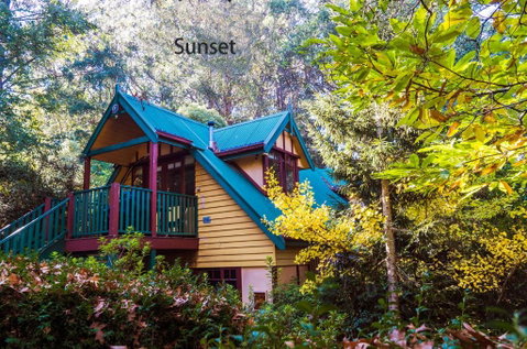 Arnica Views Summit Retreat - Accommodation VIC 4