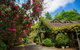 Arnica Views Summit Retreat - thumb 2