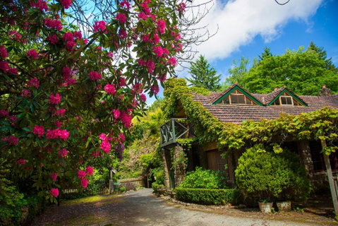 Arnica Views Summit Retreat - Accommodation VIC 2