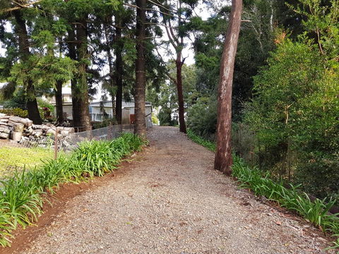 Bee-Haven Cottage - Accommodation VIC 4