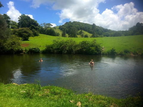 Maleny Springs Farm - Accommodation VIC 34