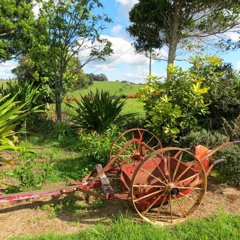 Maleny Springs Farm - Accommodation VIC 37